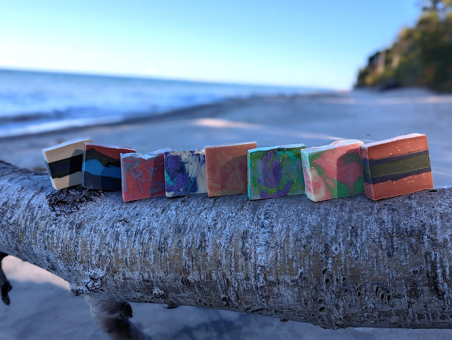 Soaps on a fallen birch tree on the shore of Lake Huron